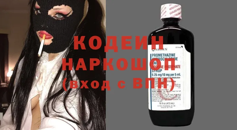 Кодеиновый сироп Lean Purple Drank  где купить   Петропавловск-Камчатский 